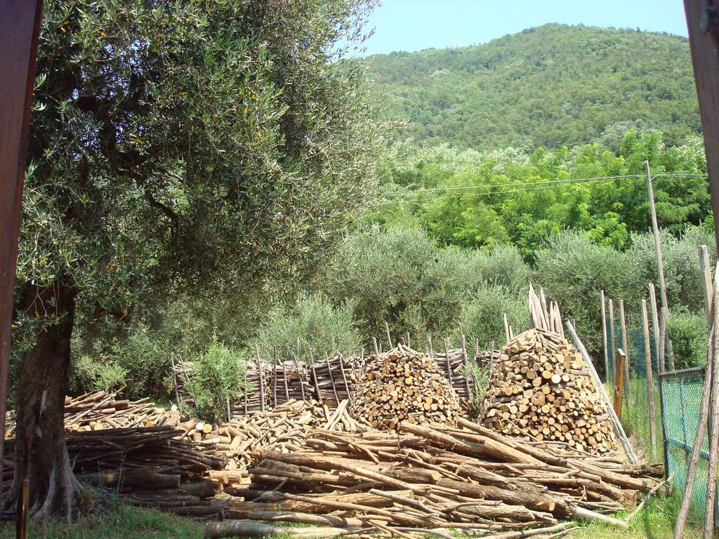 Il Castagneto Villa Teolo Екстериор снимка