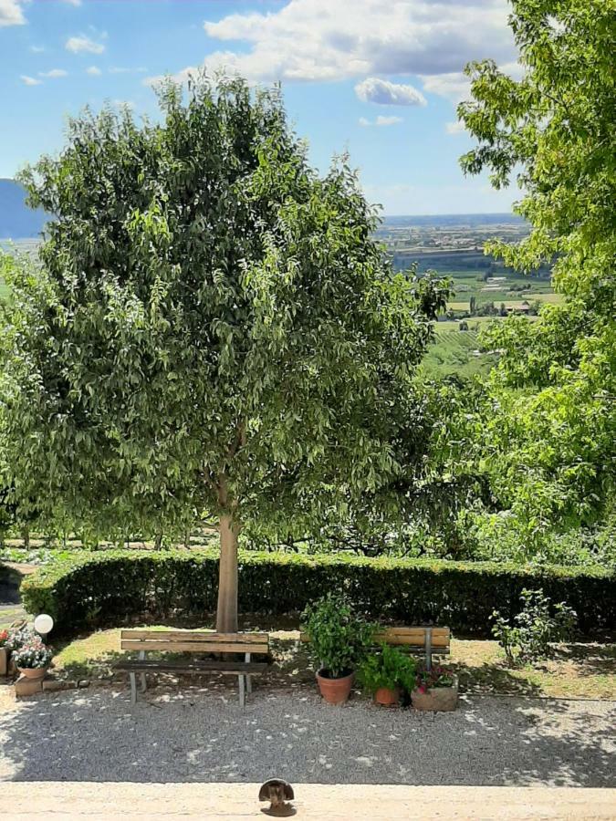 Il Castagneto Villa Teolo Екстериор снимка